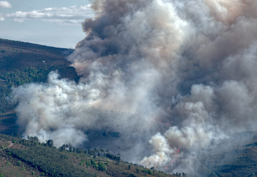 Incendi in Spagna e Francia