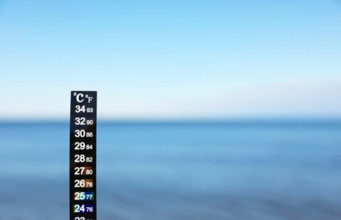 Temperatura media superficiale del mare