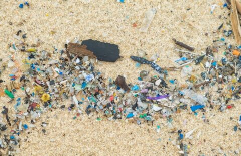 Emergenza plastica in Italia